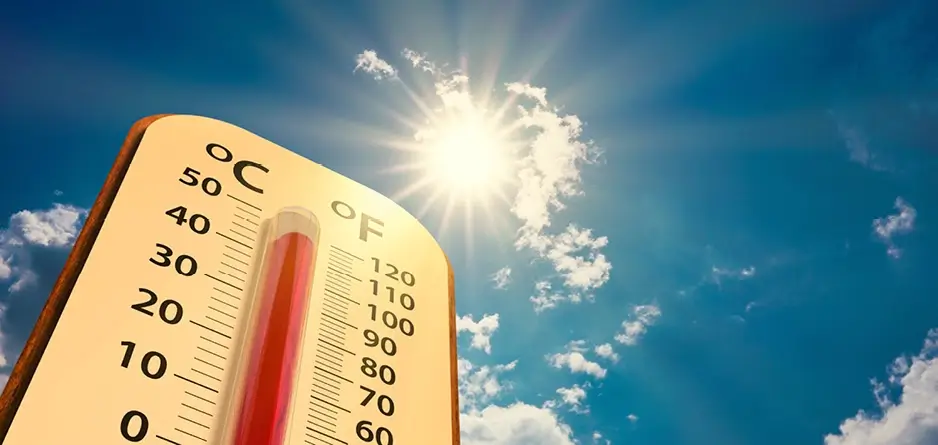 Summer Survival Guide Dealing with Heat Cramps Effectively